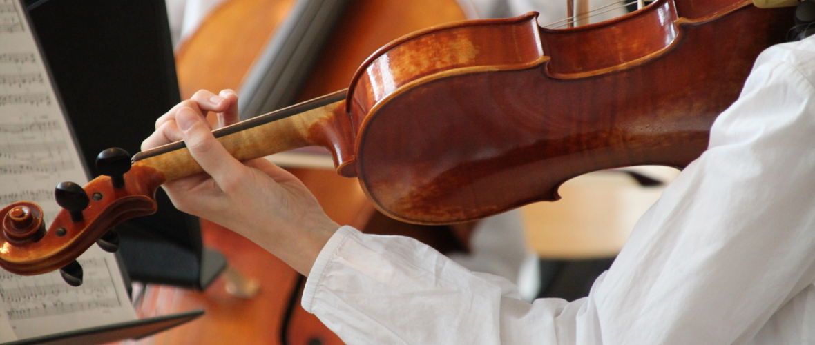 Violine